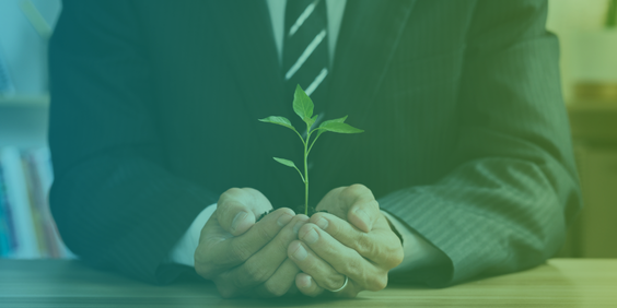 Sustainability and ESG for your SME - Bol International